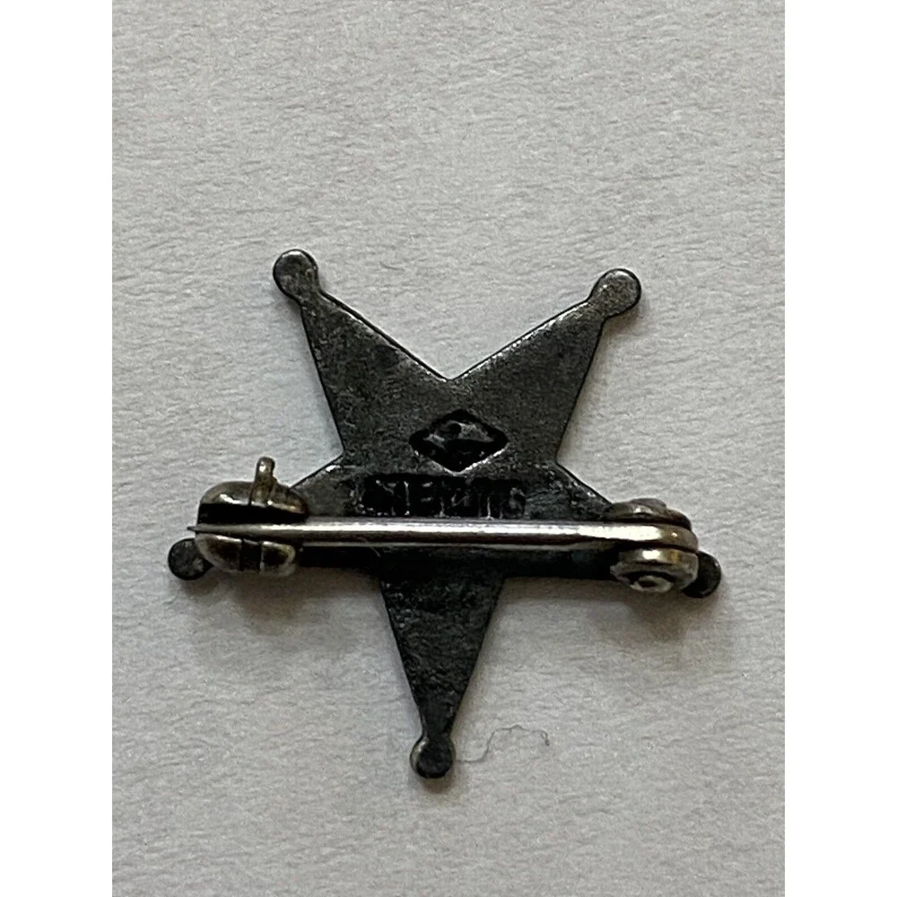 Vintage Sterling Silver And Enamel Masonic Eastern Star Pin